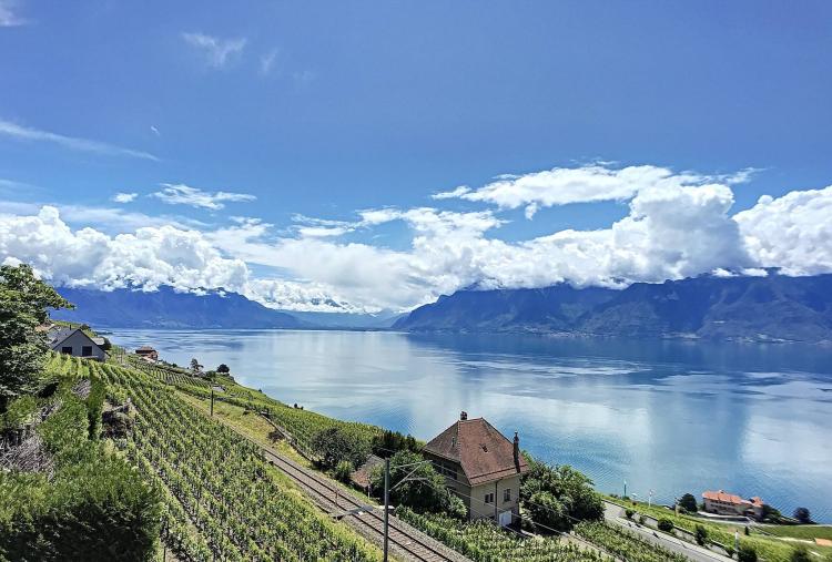 Parcelle avec permis de construire en force.