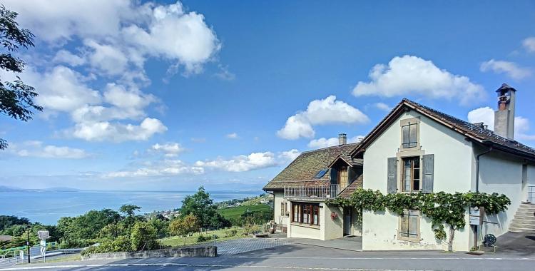 Spacieuse ancienne maison vigneronne