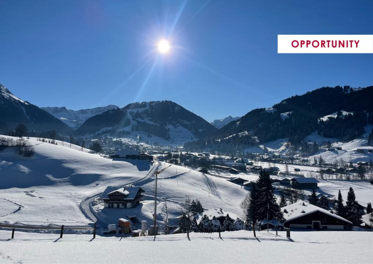 Beau rez-de-jardin moderne avec grand jardin