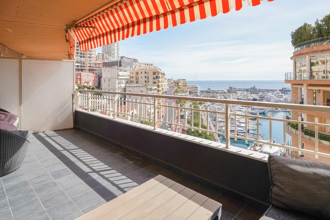 aH0ML_terrasse_port_et_saint_devote_panorama_moyen_.jpg