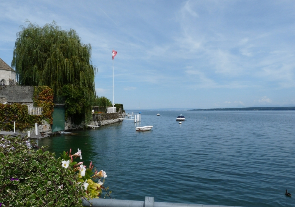 La côte