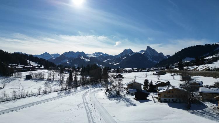 Terrain constructible d'env. 800m2 dans un cadre idyllique à Schönried