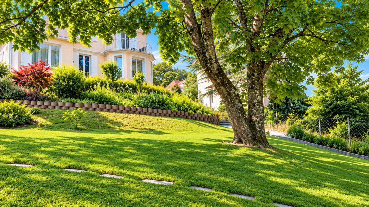 Villa de caractère avec jardin arborisé et échappée sur le lac et les Alpes