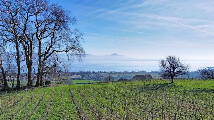 Villa d'Exception neuve : 360 m² de Lumière et de Prestige face au Léman