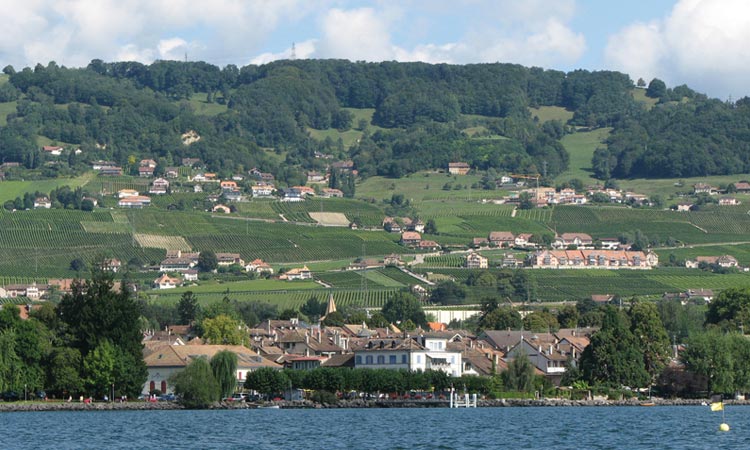 Côte Vaudoise lac