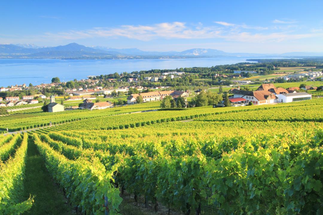 Prix immobilier au m2