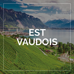 BMO 2026 : Est vaudois