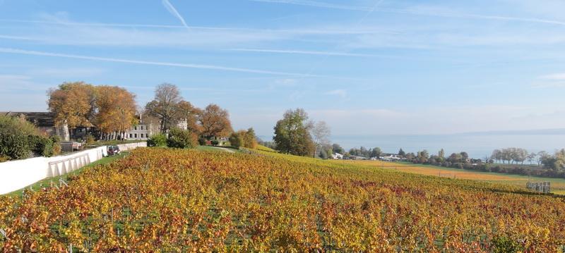 Un peu plus loin sur la route du bord du Léman