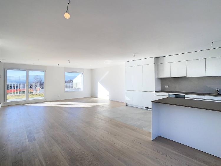 Villa mitoyenne neuve de 5.5 pièces avec jardins